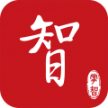 掌智