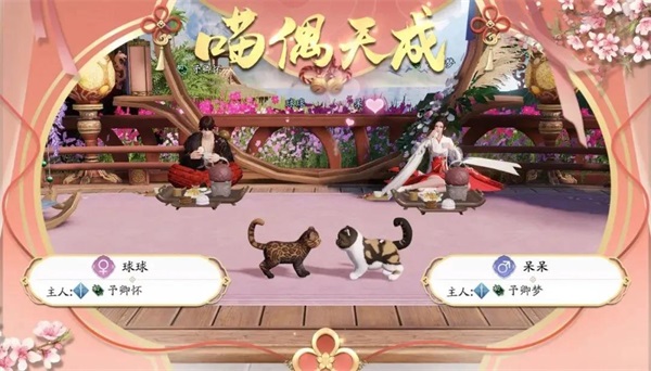 猫咪繁育小课堂开课啦!就决定是你了,猫猫兽超进化! 猫咪繁育小课堂开课啦!就决定是你了,猫猫兽超进化!