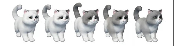 猫咪繁育小课堂开课啦!就决定是你了,猫猫兽超进化! 猫咪繁育小课堂开课啦!就决定是你了,猫猫兽超进化!