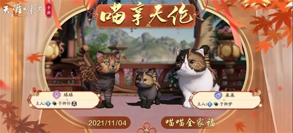 猫咪繁育小课堂开课啦!就决定是你了,猫猫兽超进化! 猫咪繁育小课堂开课啦!就决定是你了,猫猫兽超进化!