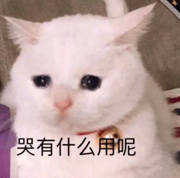 重磅消息丨超凡套装首次可兑换?!星河滚烫,你是人间理想 重磅消息丨超凡套装首次可兑换?!星河滚烫,你是人间理想