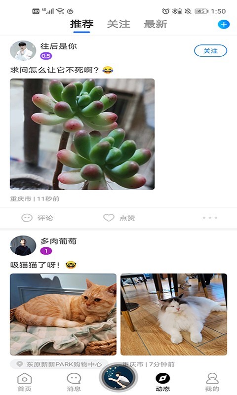 基多多安卓版