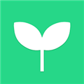 种草创业