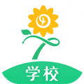 心田花开