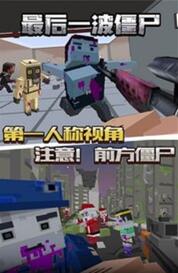 最后的僵尸刺客