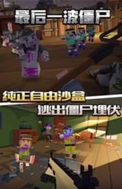 最后的僵尸刺客