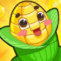 币安交易所appv1