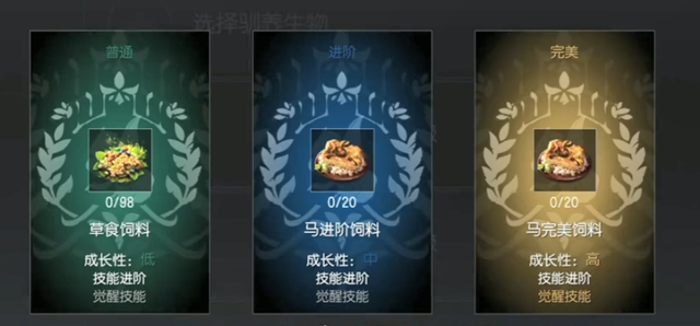 黑暗与光明马在哪儿