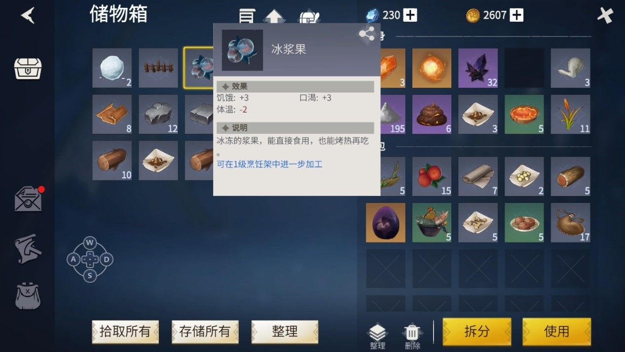 冰原守卫者物品怎样整理