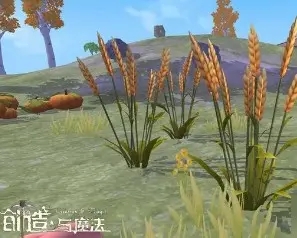 创造与魔法耕地叠一起怎么种