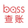 BOSS查账