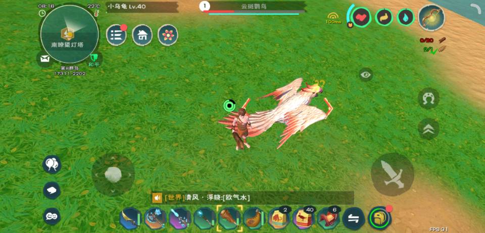 创造与魔法鹦鹉必刷点 创造与魔法鹦鹉必刷点
