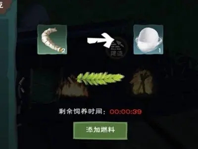 创造与魔法蚕丝有什么用途和功效 创造与魔法蚕丝有什么用途和功效