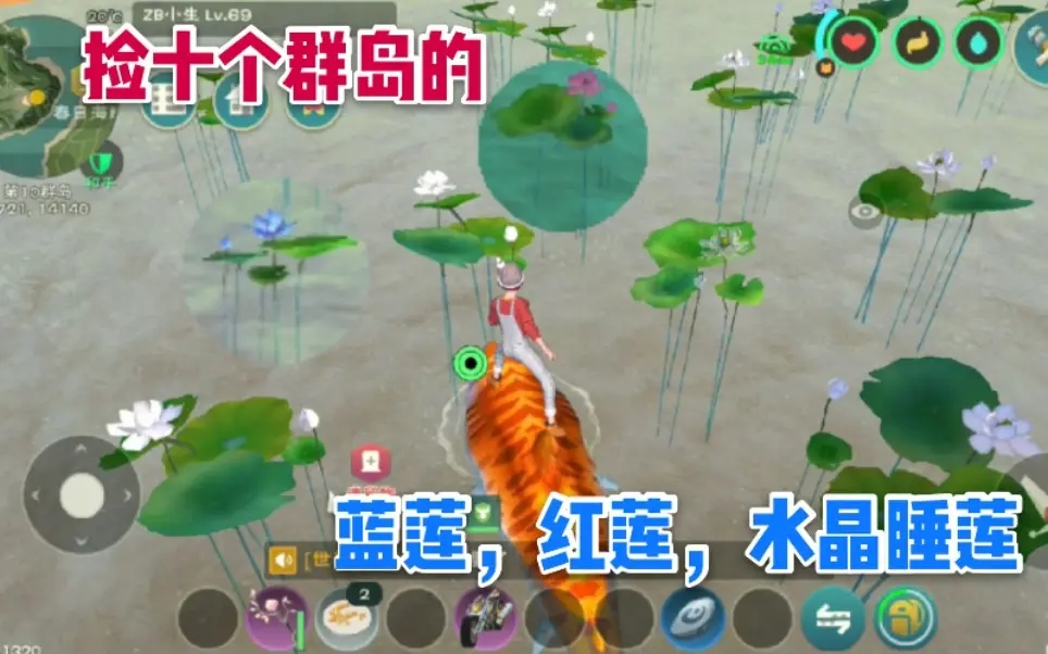 创造与魔法水晶睡莲能种植吗 创造与魔法水晶睡莲能种植吗