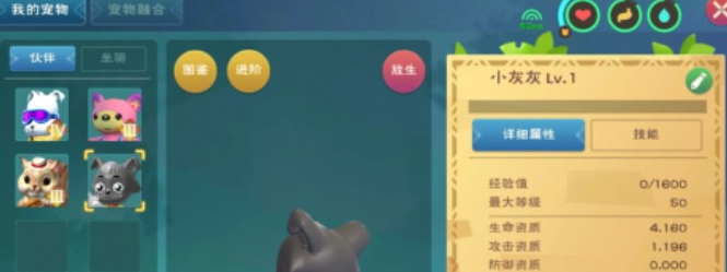 创造与魔法宠物资质怎么看