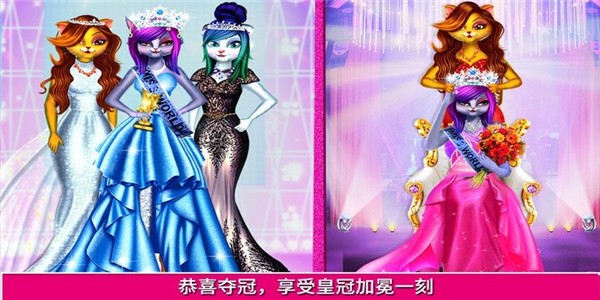 猫明星直播大亨