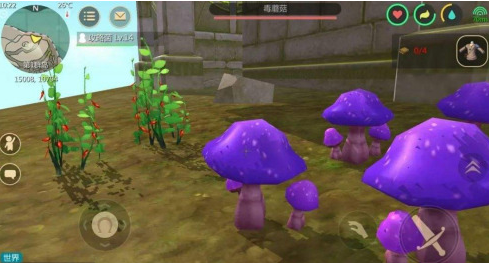 创造与魔法蘑菇根茎有什么用
