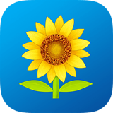 向日葵理财app