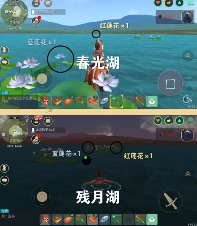 创造与魔法彩莲汤怎么做 创造与魔法彩莲汤怎么做