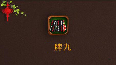 海南骨牌app安装