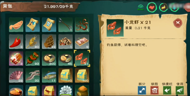 创造与魔法龙虾饵可以钓什么 钓鱼技巧有哪些