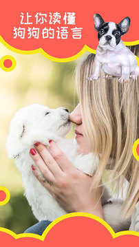狗狗助手