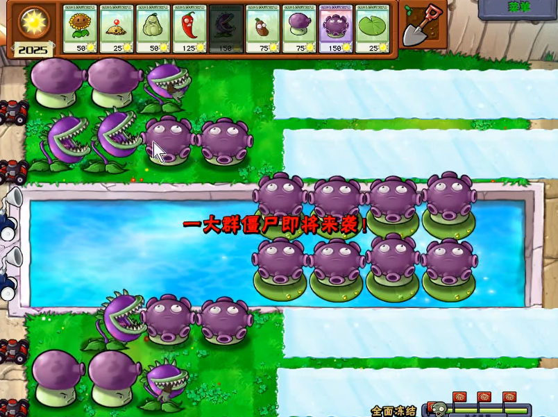 植物大战僵尸全面冻结怎么过关