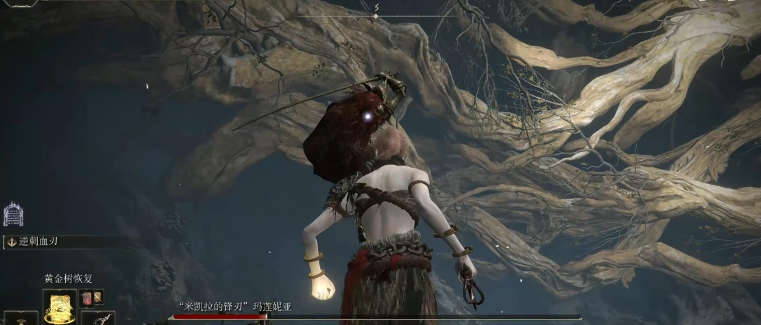 艾尔登法环女武神怎么躲水鸟