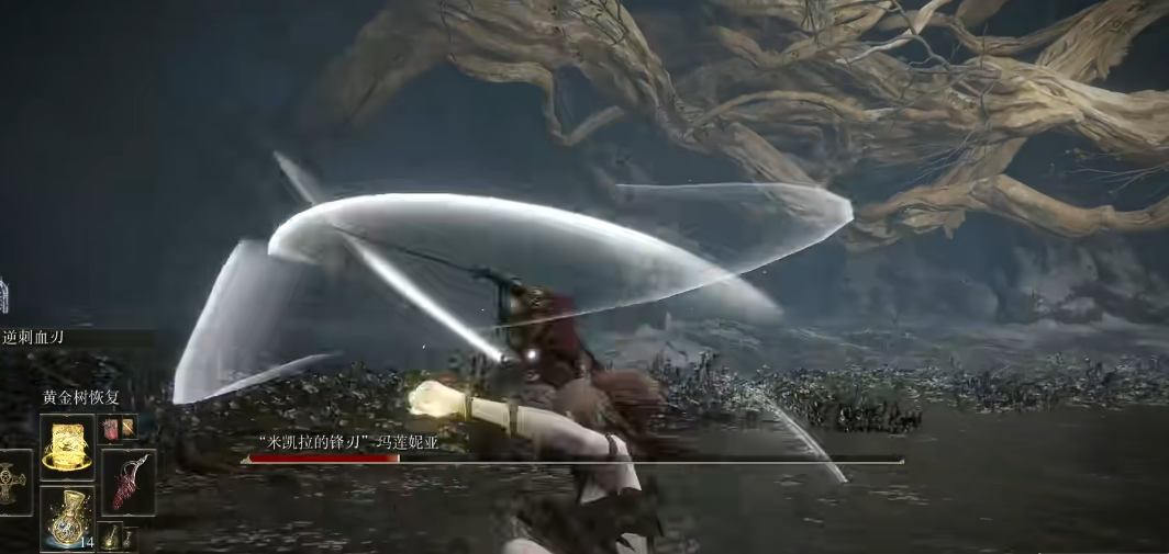 艾尔登法环女武神怎么躲水鸟