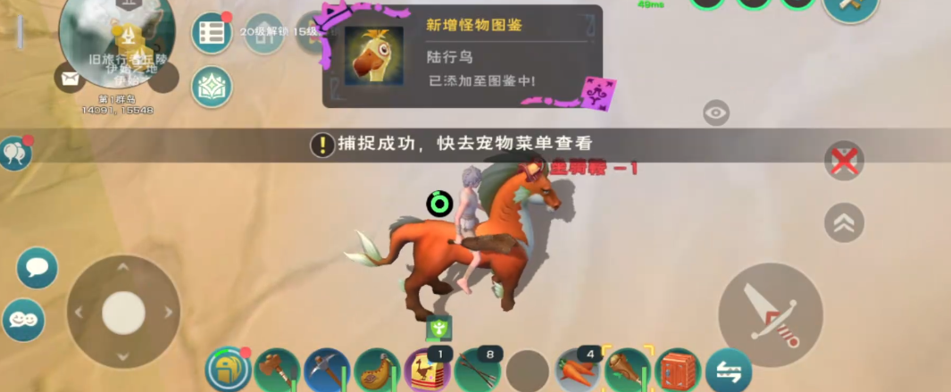 创造与魔法普通鸟的饲料怎么做