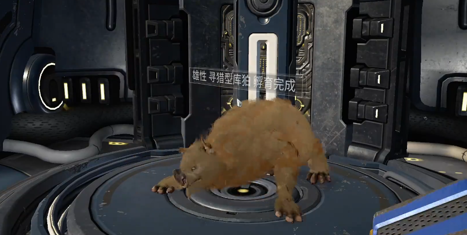 星际战甲找库伯蛋怎么找