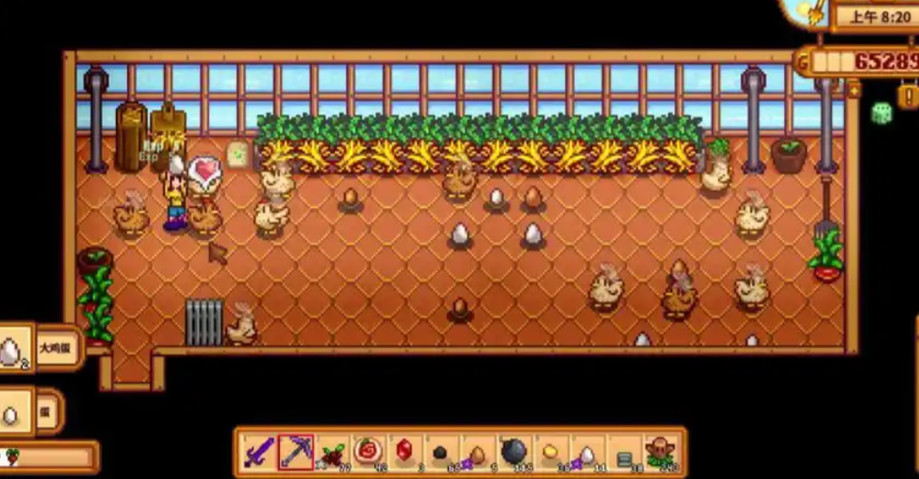 星露谷物语怎么养鸡