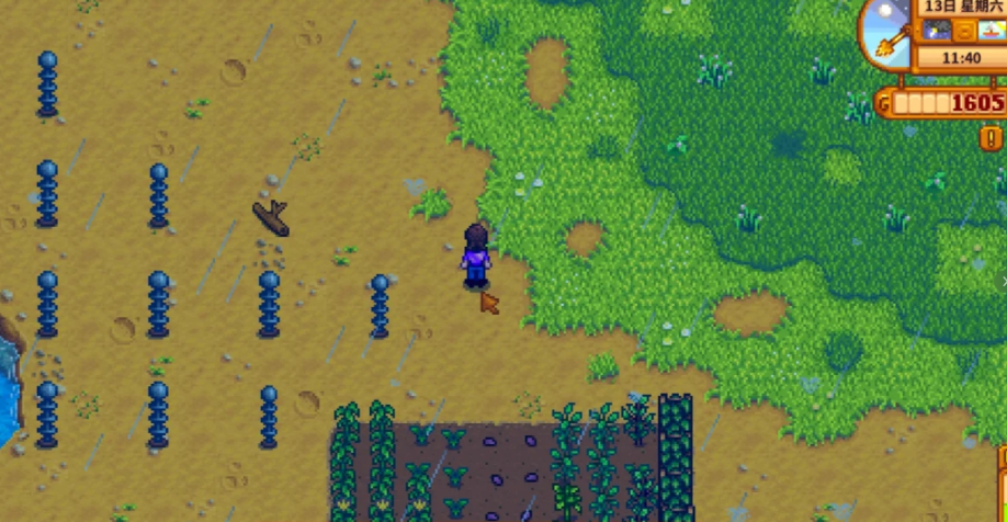 星露谷物语沙漠赌场怎么进去 星露谷物语沙漠赌场怎么进去