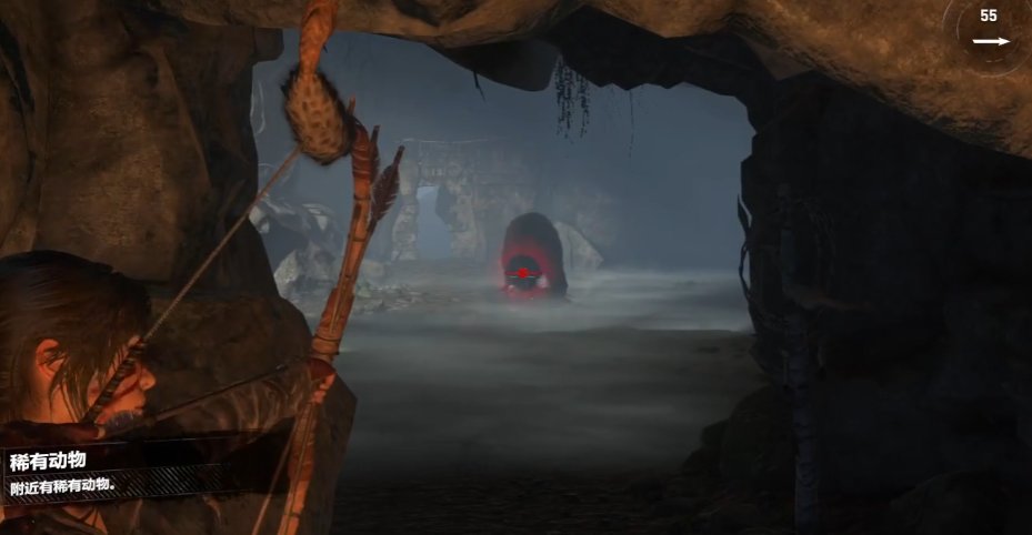 古墓丽影崛起的熊怎么打 古墓丽影崛起的熊怎么打