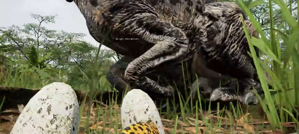 恐龙岛怎么孵蛋怎么选龙 恐龙岛怎么孵蛋怎么选龙