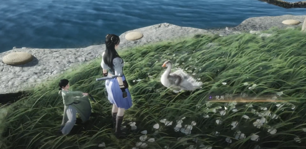 燕云十六声如何打大鹅