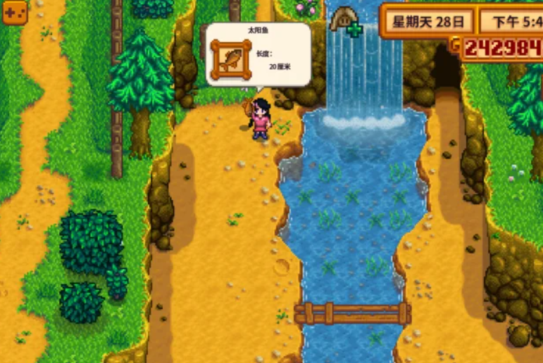 星露谷物语太阳鱼在哪里钓