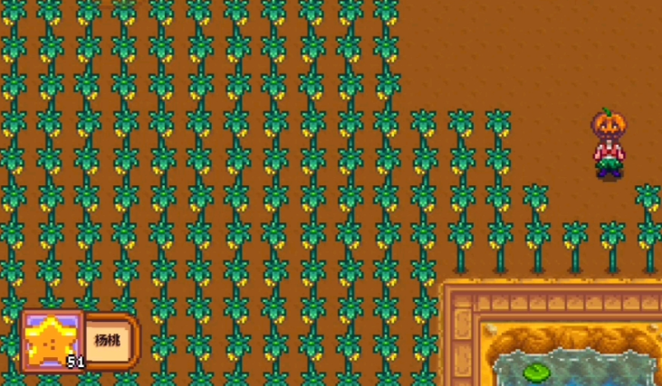 星露谷物语夏季作物有什么推荐 星露谷物语夏季作物有什么推荐