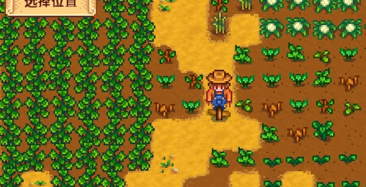 星露谷物语怎么快速耕种8级