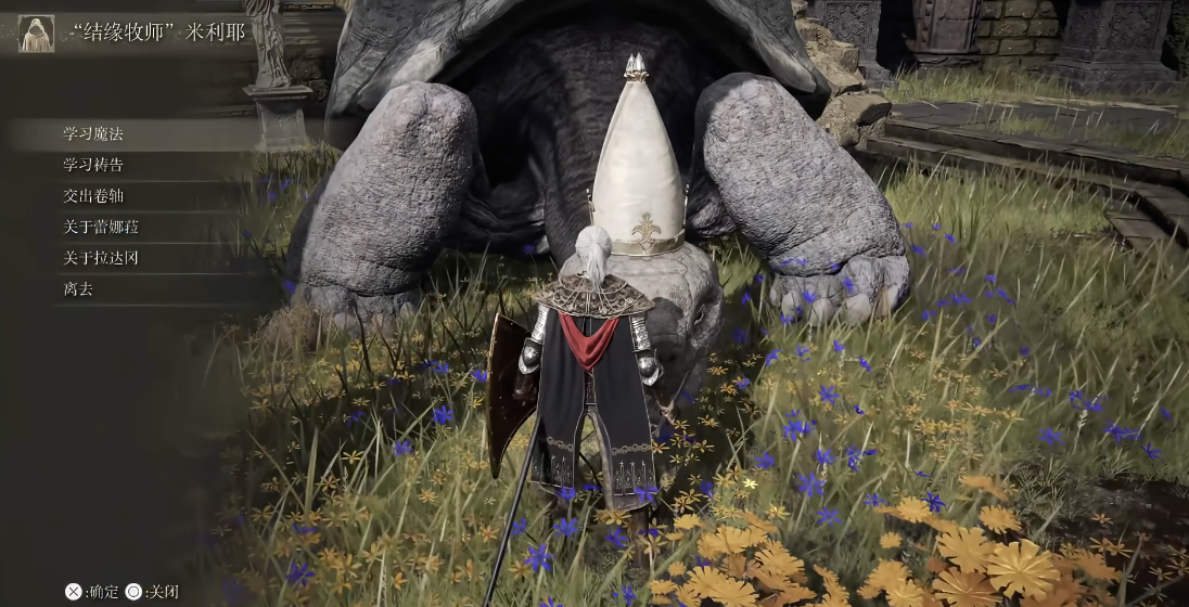 艾尔登法环乌龟老师给多少魂 艾尔登法环乌龟老师给多少魂