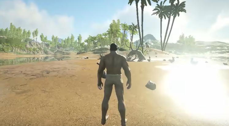 方舟生存进化萌新有什么攻略