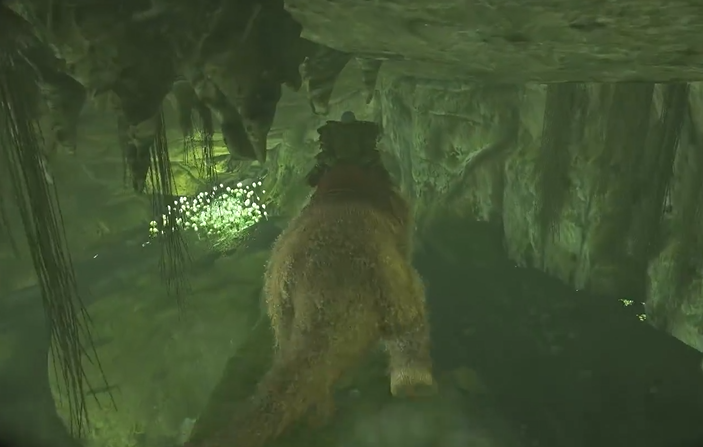 方舟生存进化孤岛怎么通关