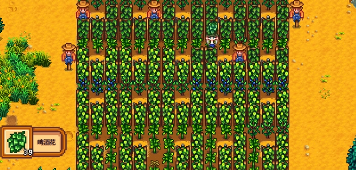 星露谷物语夏季作物有什么推荐 星露谷物语夏季作物有什么推荐