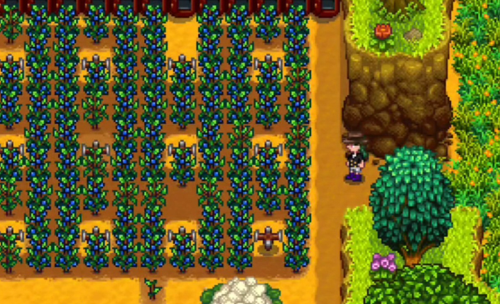 星露谷物语夏季作物有什么推荐 星露谷物语夏季作物有什么推荐