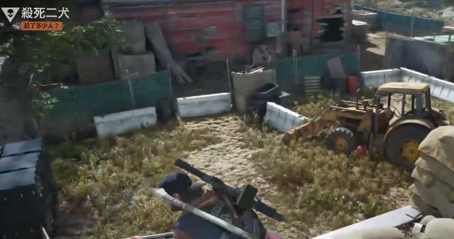 往日不再追踪二犬在哪里