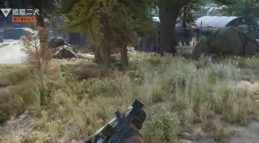 往日不再追踪二犬在哪里