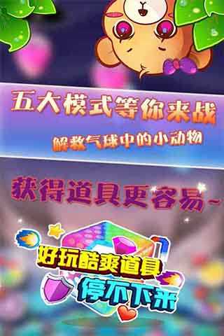 小熊笨笨