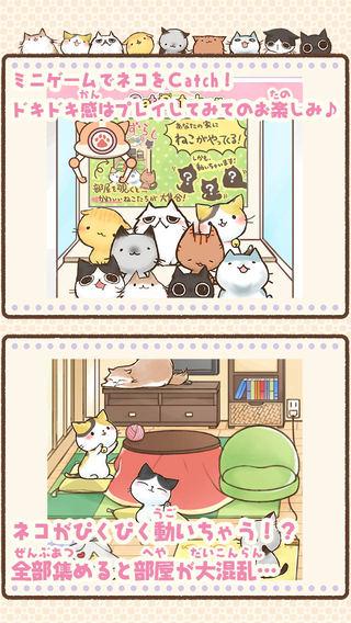 猫咪滑块：美喵之事