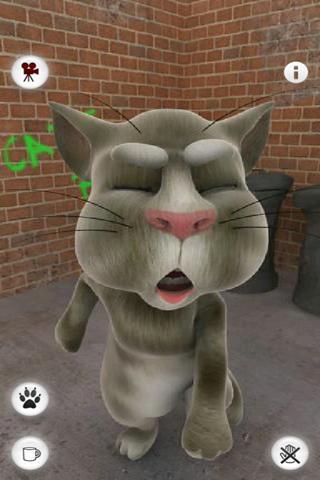 会说话的汤姆猫