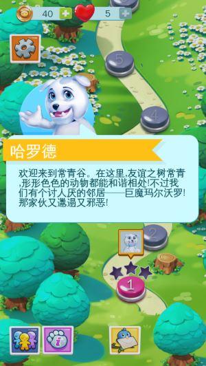 宠物碰碰碰